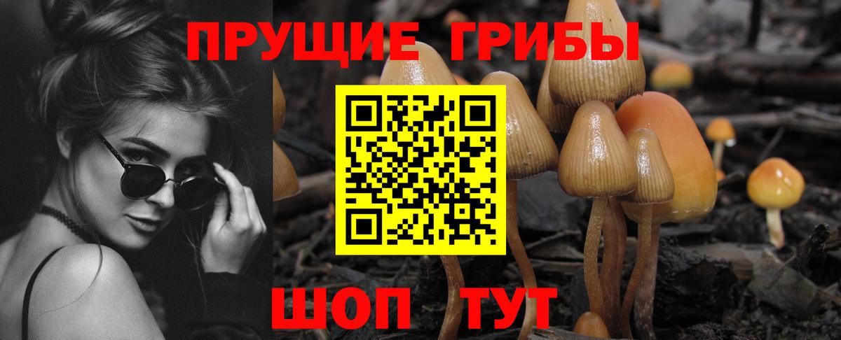 Алушта  Галлюциногенные грибы MAGIC MUSHROOMS  Вход с VPN 
